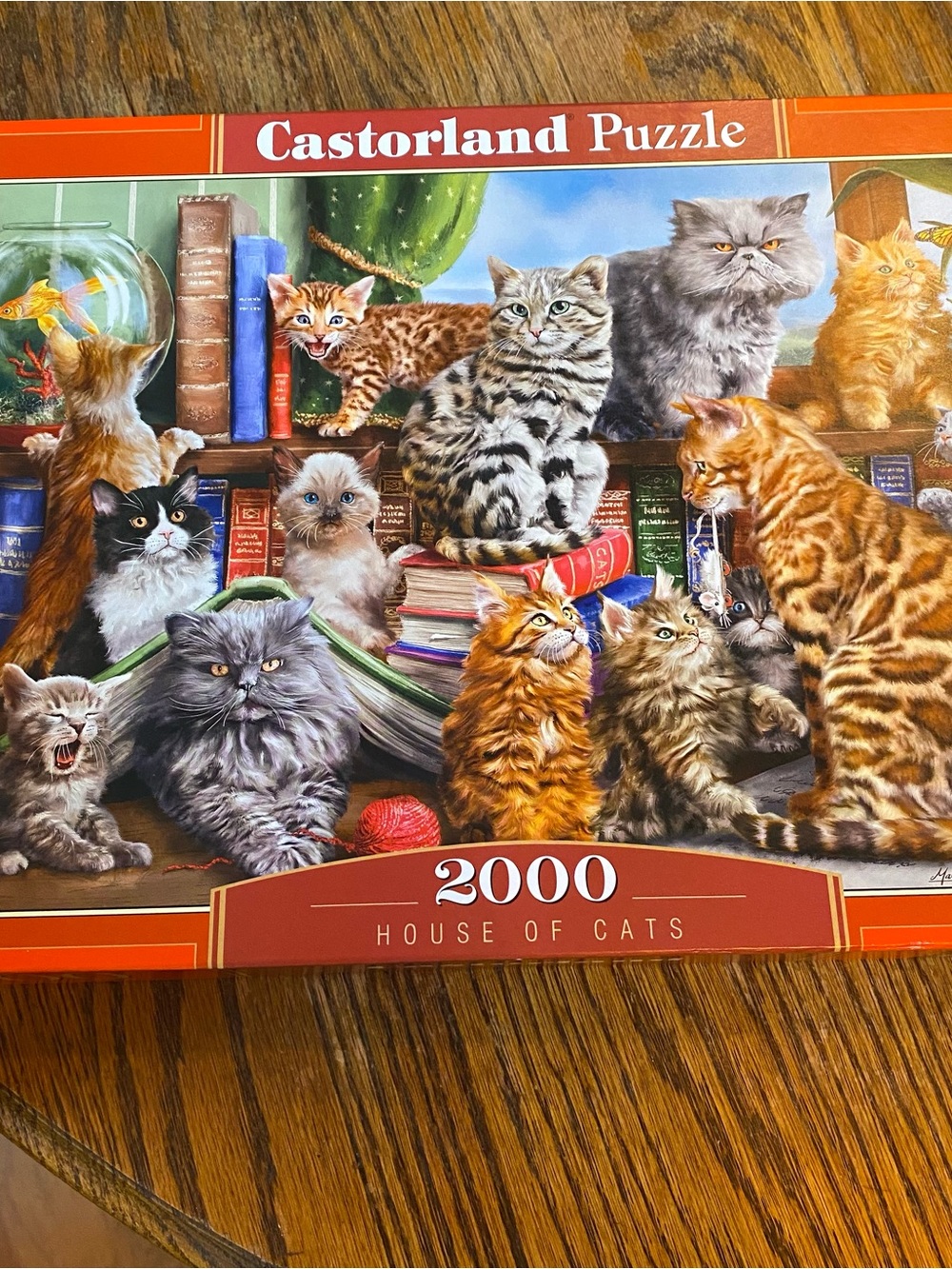 2000-Piece Cat Collage Puzzle - Multicolor - Picture 3 of 3